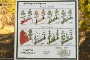 Infos zu den Waldbränden bei La Cumbrecita