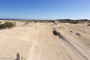 Auf sandigen Pfaden über die Insel La Graciosa