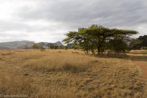 Abenddämmerung in Swasiland