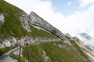 Blumenpfad als Höhenweg am Pilatus