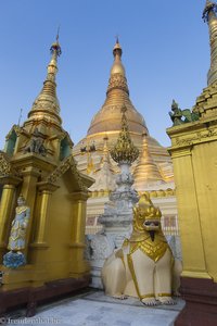 in der Shwedagon-Pagode von Yangon