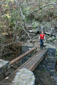 Brücke im hinteren Teil der Schlucht