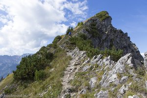 Auf dem Iseler im Allgäu