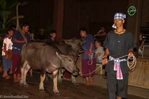 Thai Village Kultur Show im Rose Garden von Nakhon Pathom