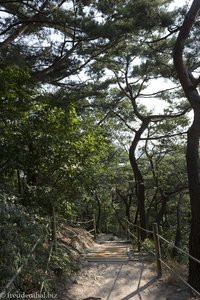 Wanderweg durch den Samcheong Park