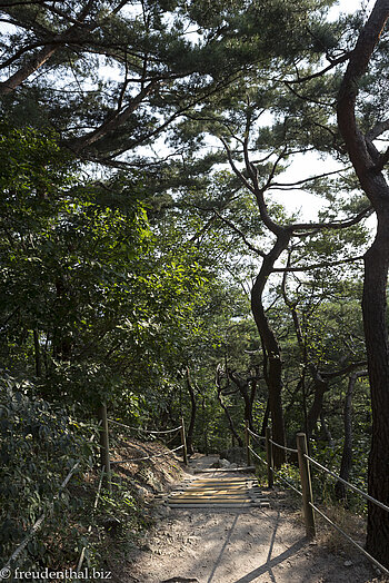 Wanderweg durch den Samcheong Park