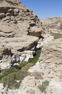 Oase im Talgrund des Wadi Ayun im Oman