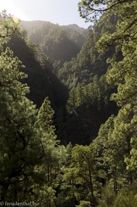 Die Sicht über den Barranco del Agua