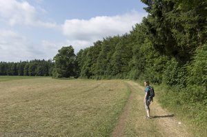 Entlang ausgedehnter, sonnenverwöhnter Wiesen