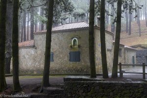 Das Refugio El Pilar im märchenhaften Nebelwald