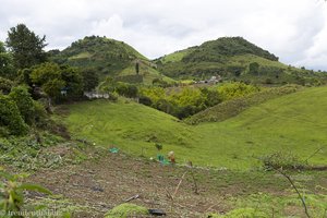 Zuckerrohrplantagen bei San Agustín in Kolumbien.
