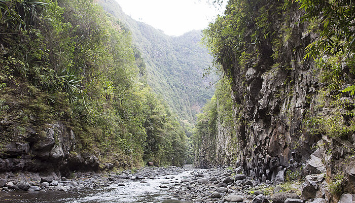 Flusswanderung Bras de la Plaine auf Las Réunion