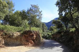 hier zweigt der Wanderweg links von der Straße ab