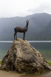 Zlatorog - der Gamsbock am Bohinjer See