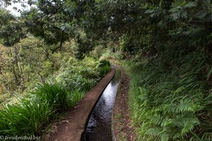 Wasserlauf der Levada do Rei