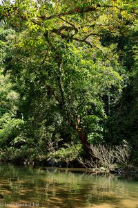 Badestelle im Khao Sok Nationalpark