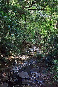 Flusslauf der Quebrada Agria