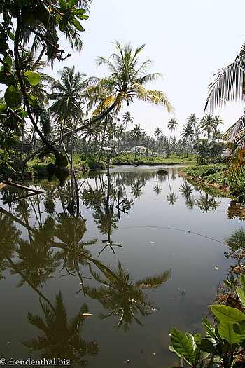 Kulisse hinter der Turtle-Hatchery von Koskoda