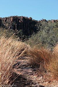 einer der Wanderwege am Plateau