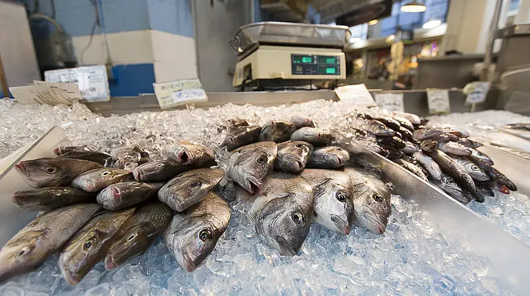 Fisch im Essex Street Market in New York