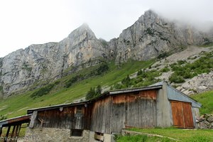 Ostflanke vom Niederbauen-Chulm