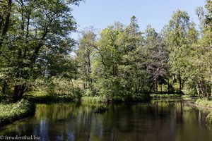 Teich auf Seurasaari