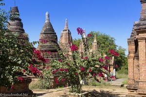 Stupas auf dem Tempelfeld von Bagan