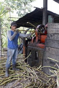 Zuckerroohrpresse bei der Panela-Farbrik bei San Agustín.