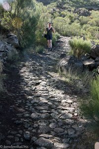 Camino am Westhang der Montana de la Hoya