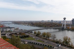 Ausblick von der Burg über die Donau