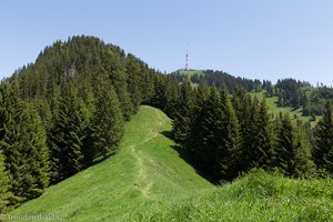 Pfad über den Siechenberg zum Grünten