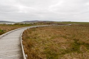 Weg zum Ring of Brodgar