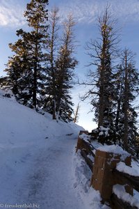 Bryce Canyon - Rim Trail