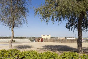 Ras al Khor Wildlife Sanctuary