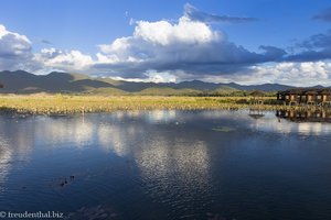 Ein wundervoller Blick auf den See - Golden Island Cottage