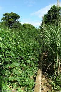 Bewässerung auf Santiago der Kapverden