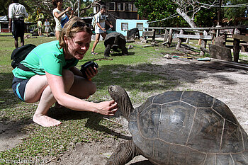 Annette und die Schildkröte