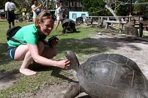 Annette und die Schildkröte