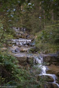 Der Steinebach am Edelsberg im Allgäu