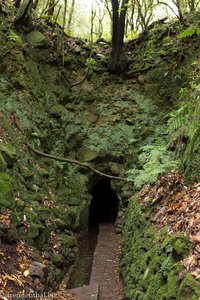 Tunnel an der Levada von Queimadas