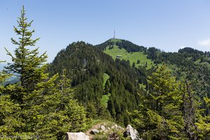 Blick über den Siechenberg (links) zum Grünten