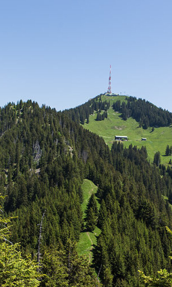 Blick über den Siechenberg (links) zum Grünten