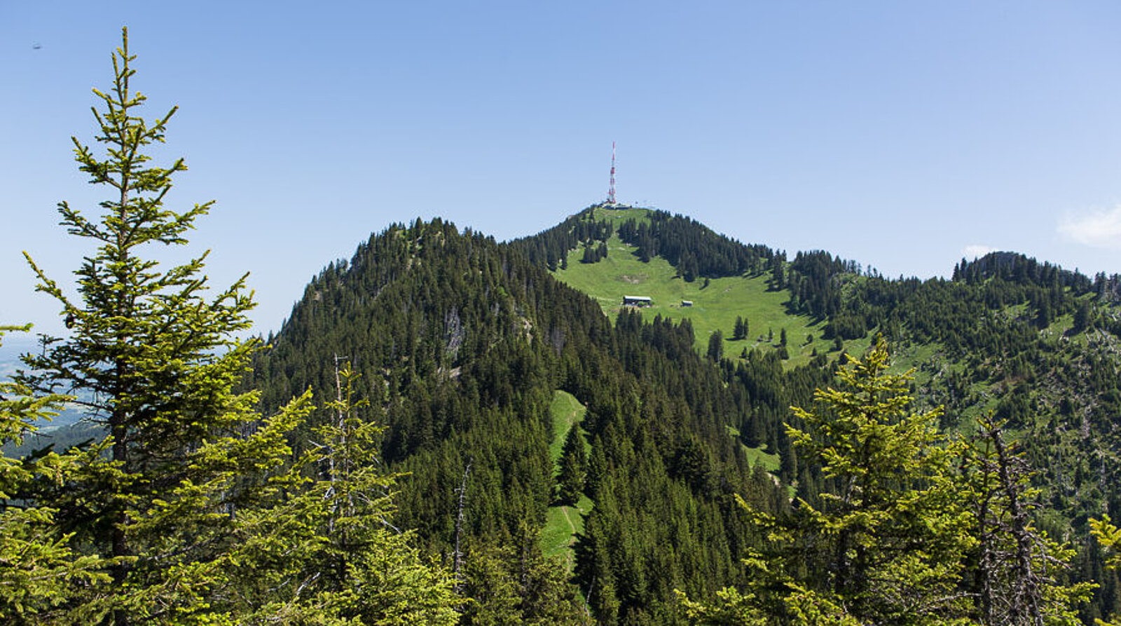 Blick über den Siechenberg (links) zum Grünten im Allgäu