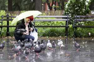 Tauben- und Grauhörnchenfütterung im Washington Square Park
