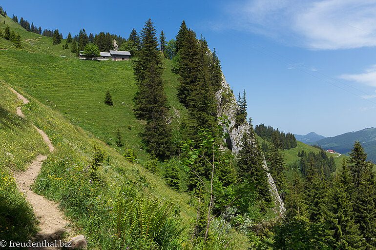 Blick zur Zweifelgehrenalpe Blick zur Zweifelgehrenalpe
