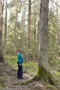 Anne im Wald vom Gauja Nationalpark