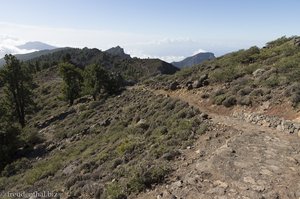 Über den Wolken beim Pico de la Nieve