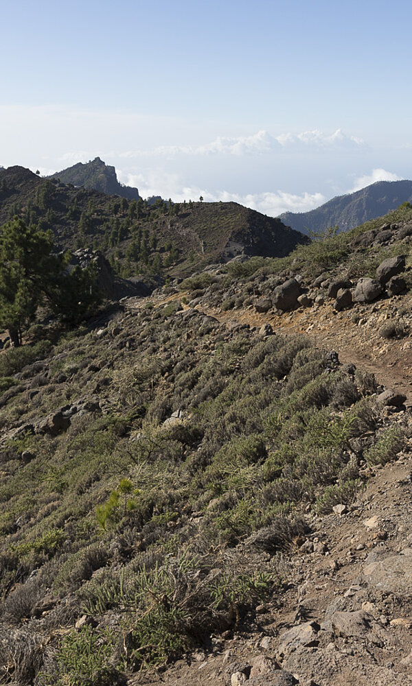 Über den Wolken beim Pico de la Nieve