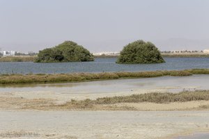 Blick über die Lagune Khawr Ad Dahariz bei Salalah