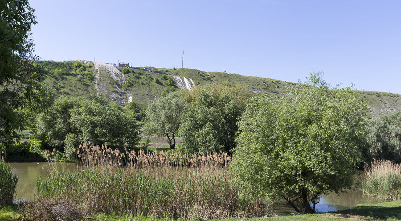 Schilf und Sträucher an der Raut zwischen Morovaia und Butuceni bei Orheiul Vechi, Moldawien